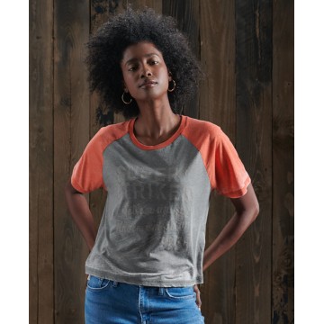Superdry T-Shirt in grau / orangerot